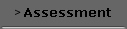 Assessment