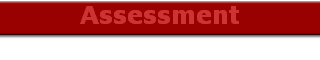 Assessment
