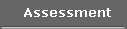 Assessment