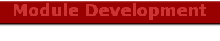 Module Development
